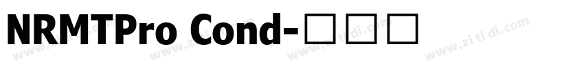 NRMTPro Cond字体转换